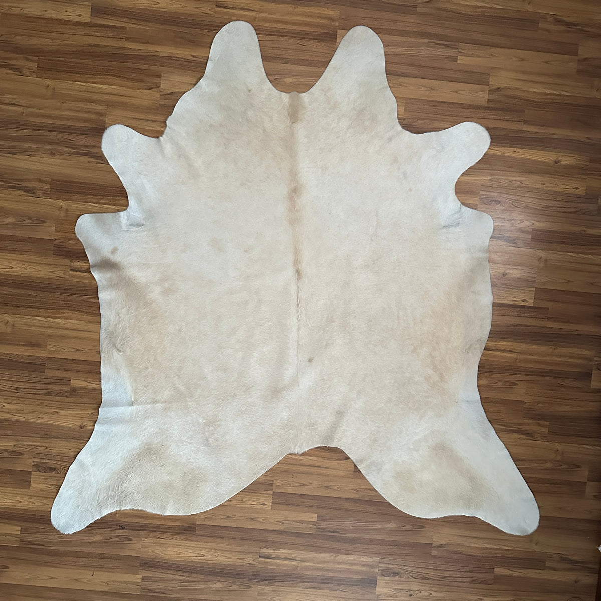 Beige cowhide rug, full overhead view — Uniformly light cream base with minimal natural variation