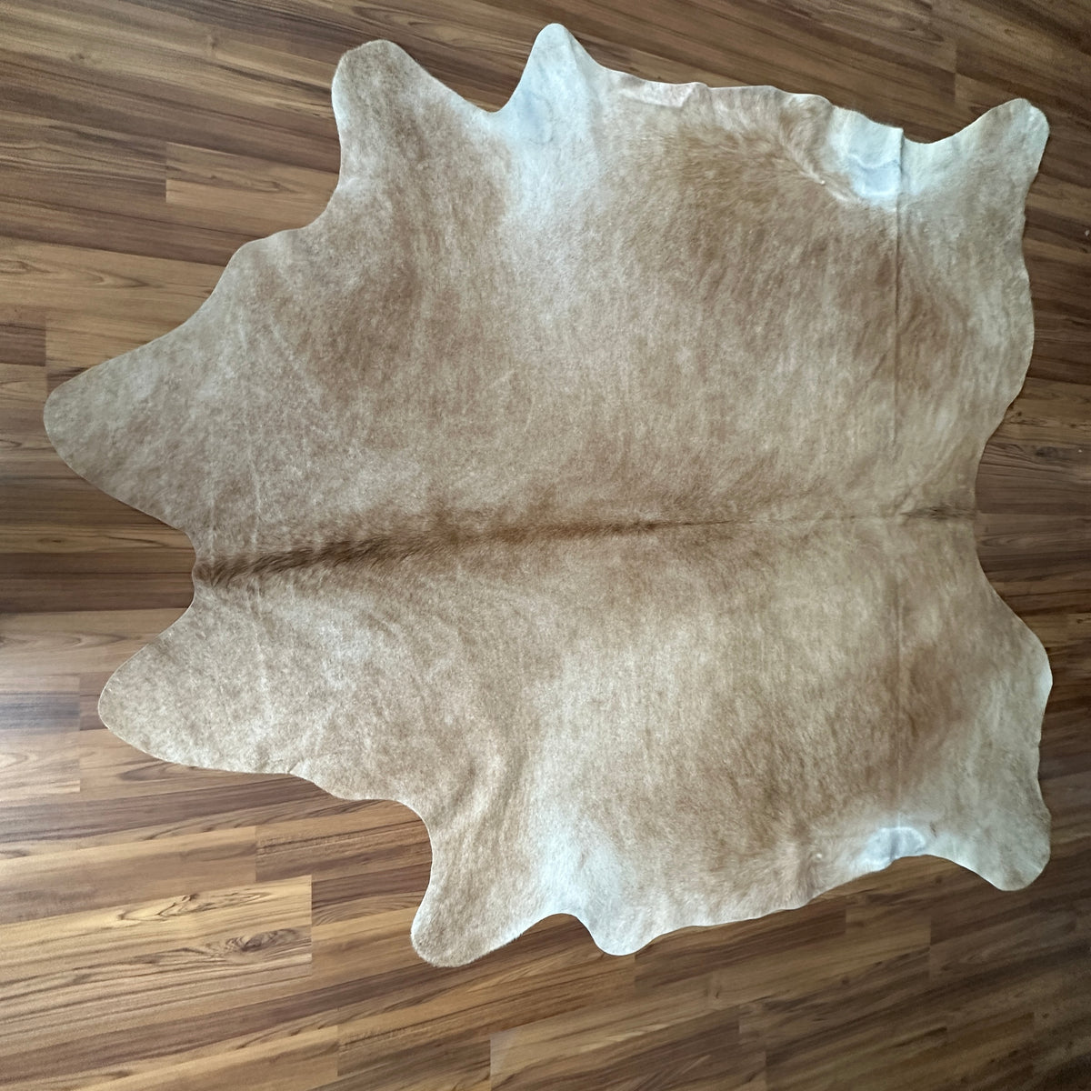 Beige cowhide rug, full overhead view — Large irregular cream and light tan patches with natural mottled texture