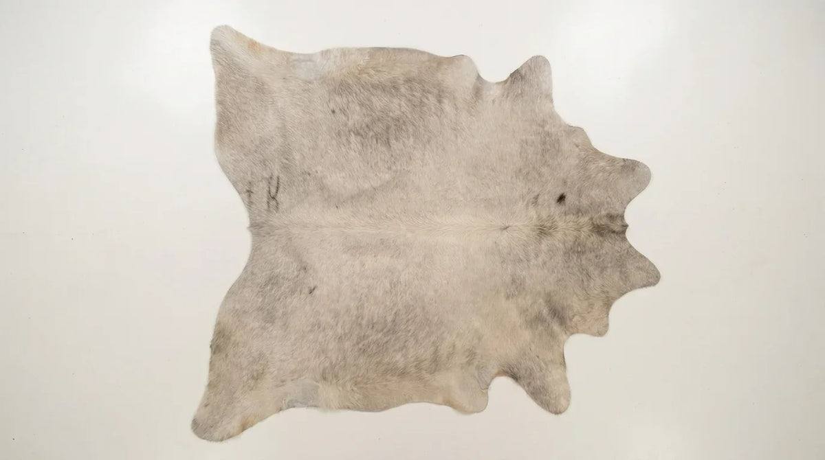 Beige cowhide rug flat lay on white background showing full hide shape