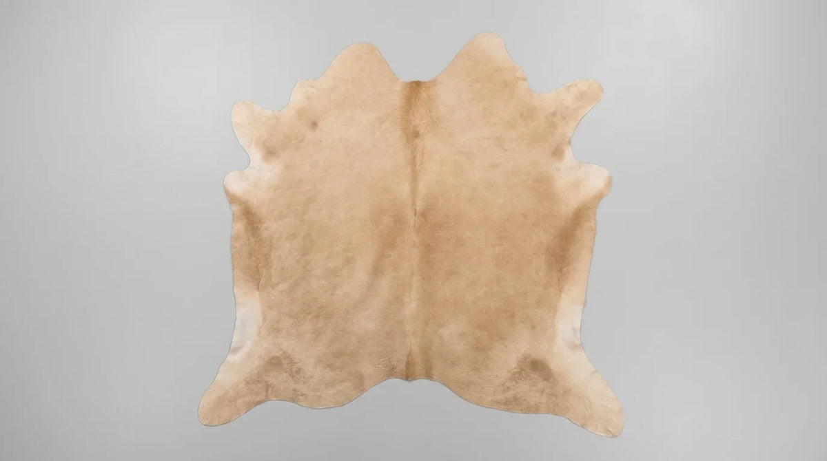 Beige cowhide rug flat lay on white background showing full hide shape