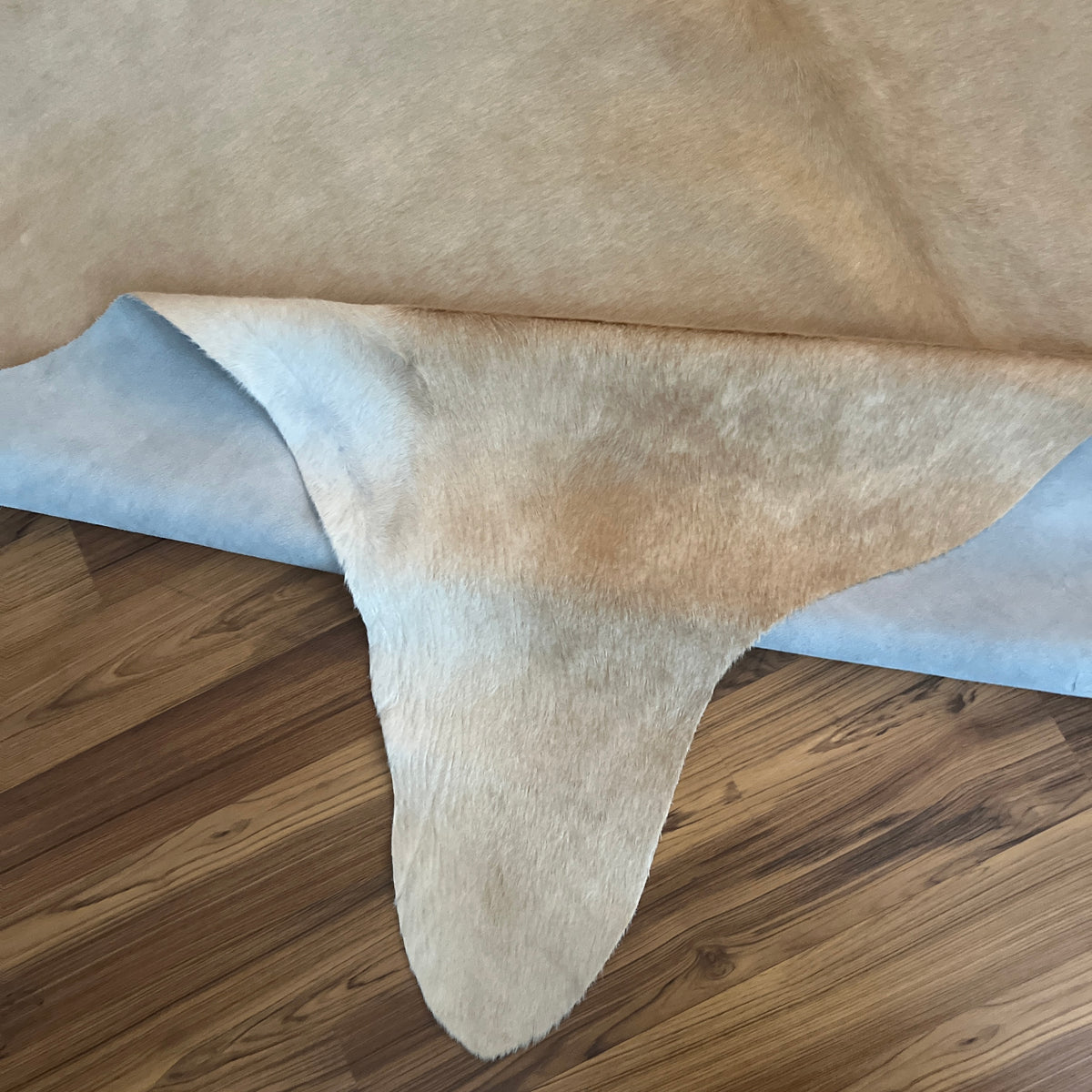 Close-up texture of Beige cowhide rug — Uniform cream base with subtle natural veining and organic hide texture
