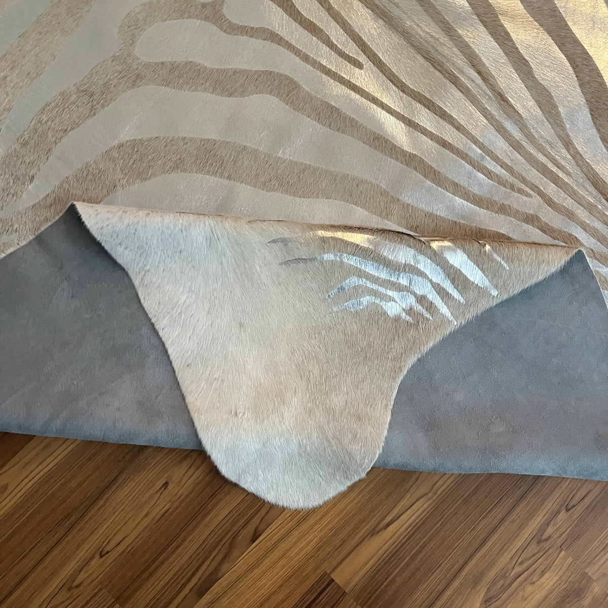 Close-up texture of Beige zebra print cowhide rug — Bold radiating zebra stripes in warm tan and cream tones over light ivory