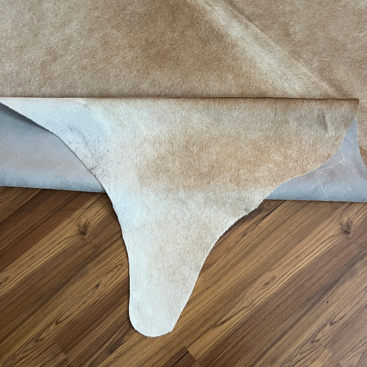 Close-up texture of Beige cowhide rug — Subtle cream and light tan natural hide variation with organic irregular edges