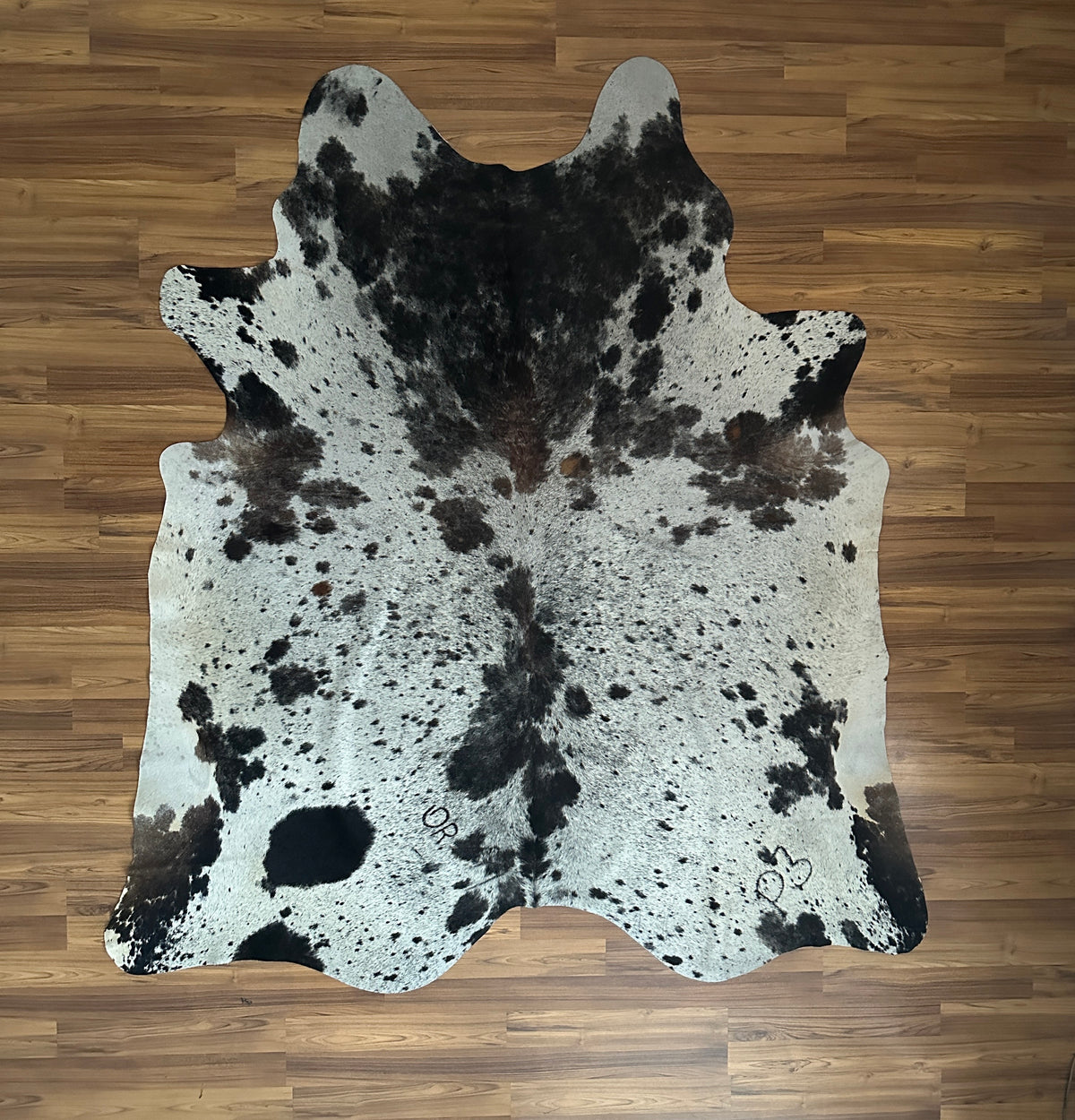 Black and White cowhide rug, full overhead view — Large irregular black patches and speckles over white cream base