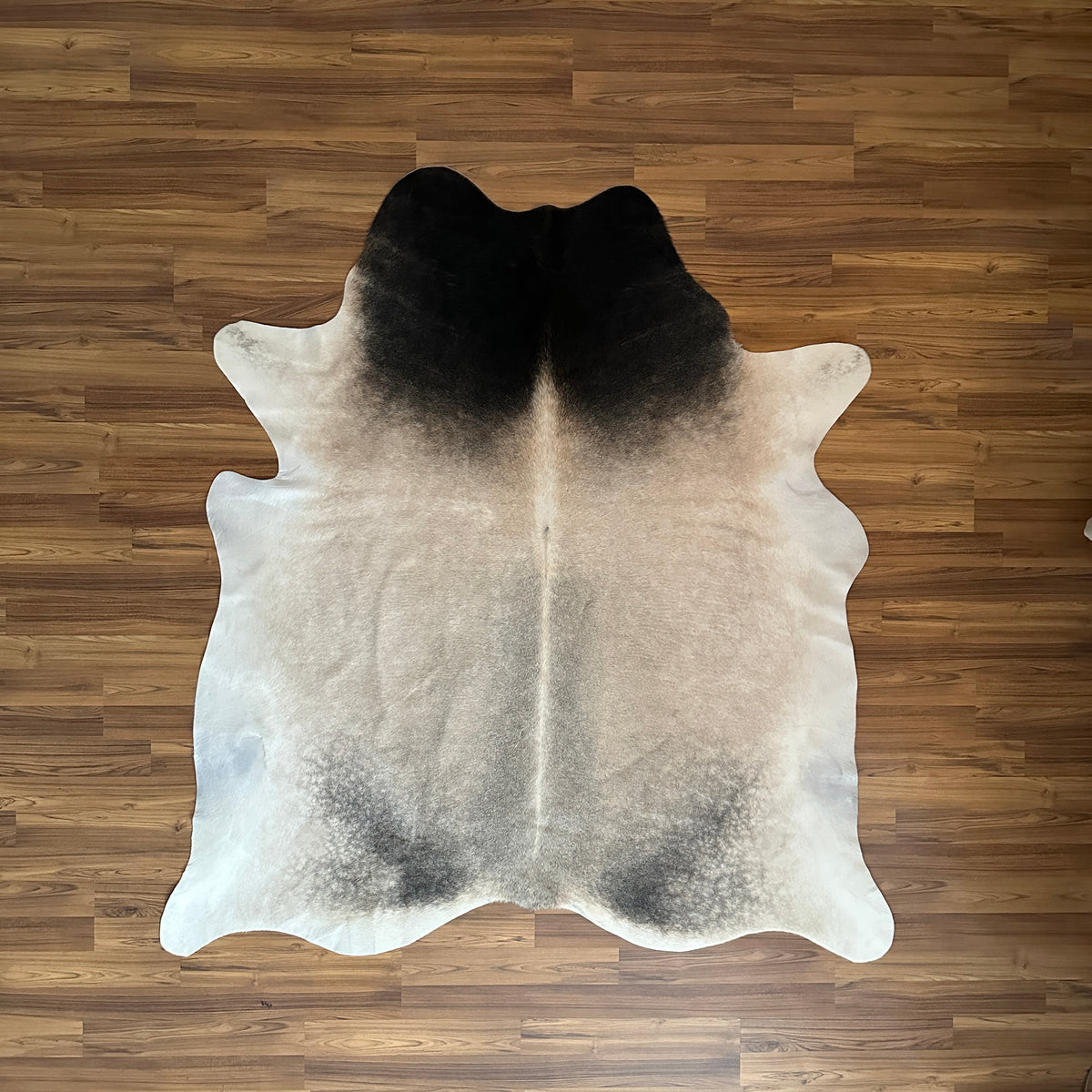 Black and White cowhide rug, full overhead view — Large irregular dark patches over cream and white base with natural gradati