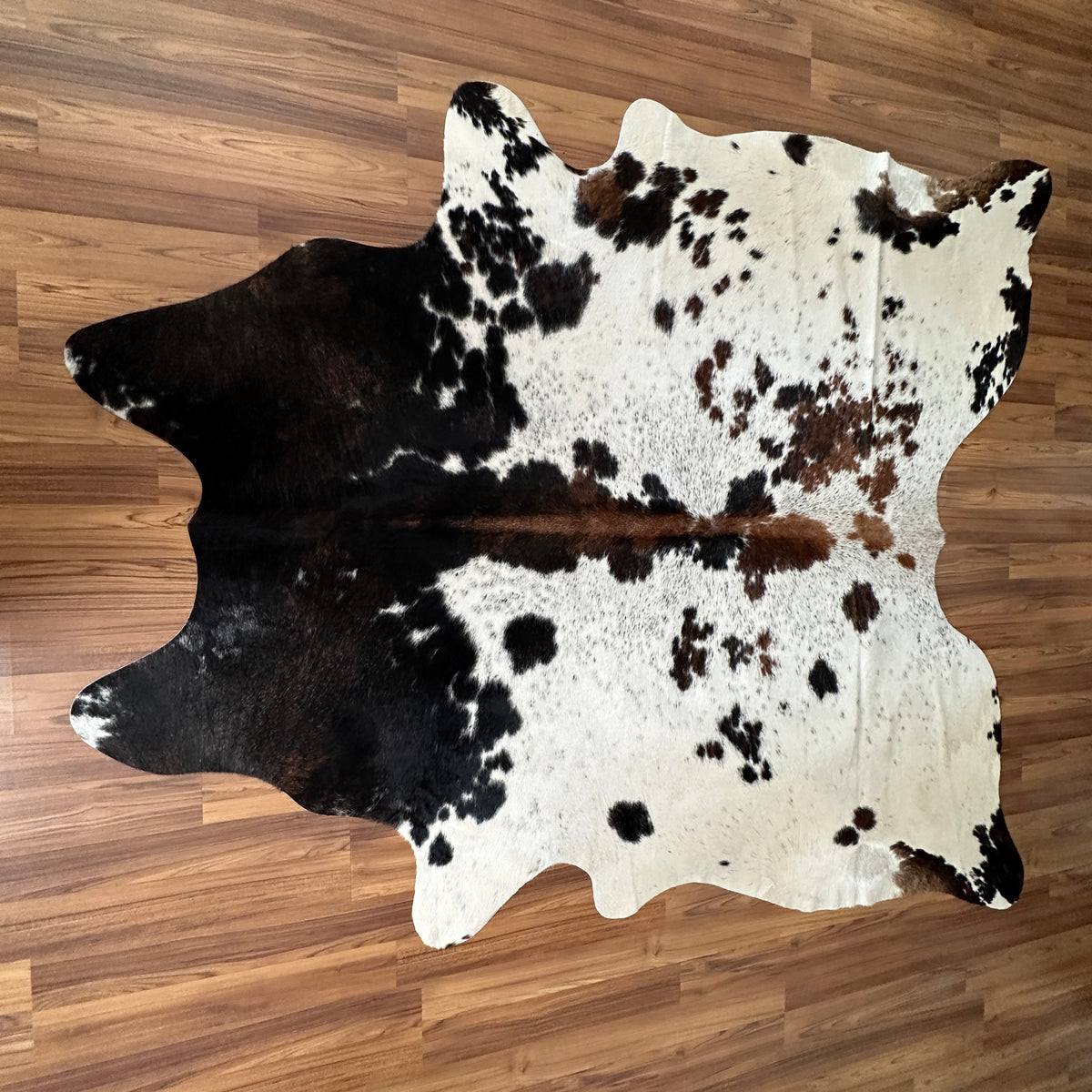Black and White cowhide rug, full overhead view — Large irregular black patches with brown undertones over cream-white base