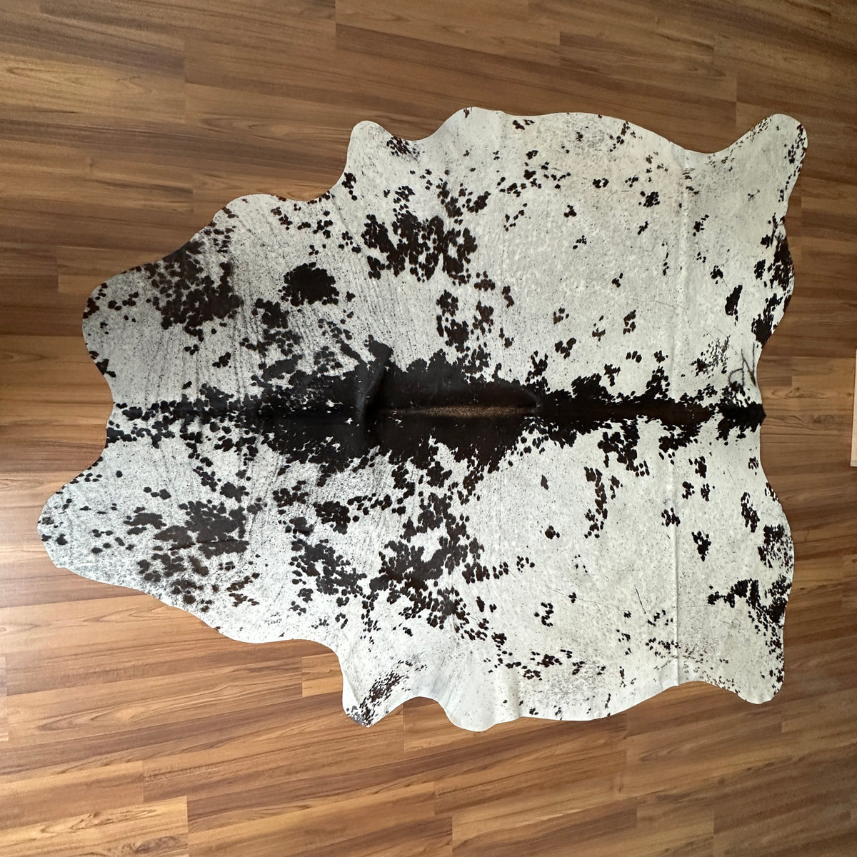 Black and White cowhide rug, full overhead view — Large irregular dark brown patches with fine speckle over cream and white b