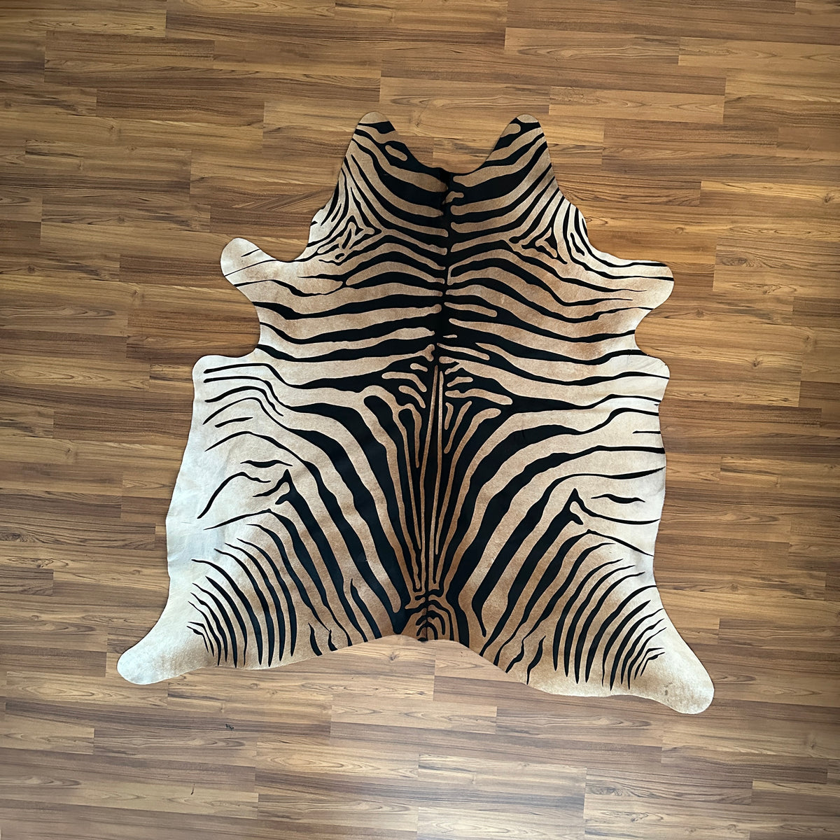 Black and White zebra print cowhide rug, full overhead view — Bold zebra stripes radiating from center over cream and white b
