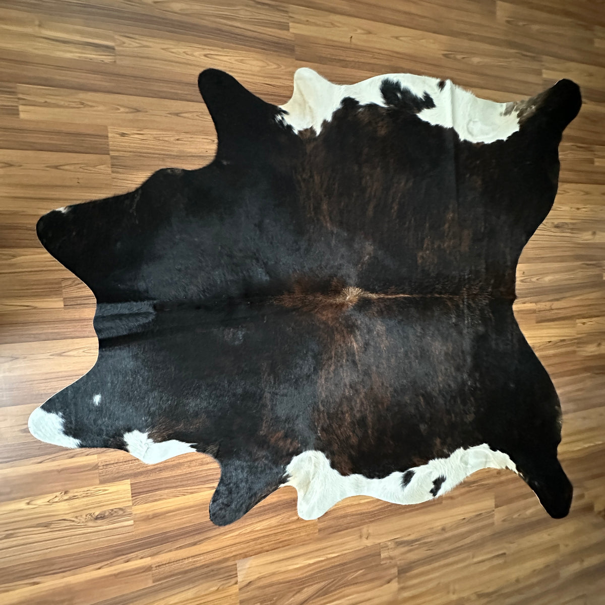 Black and White cowhide rug, full overhead view — Large irregular black patches with white markings on face, legs, and unders