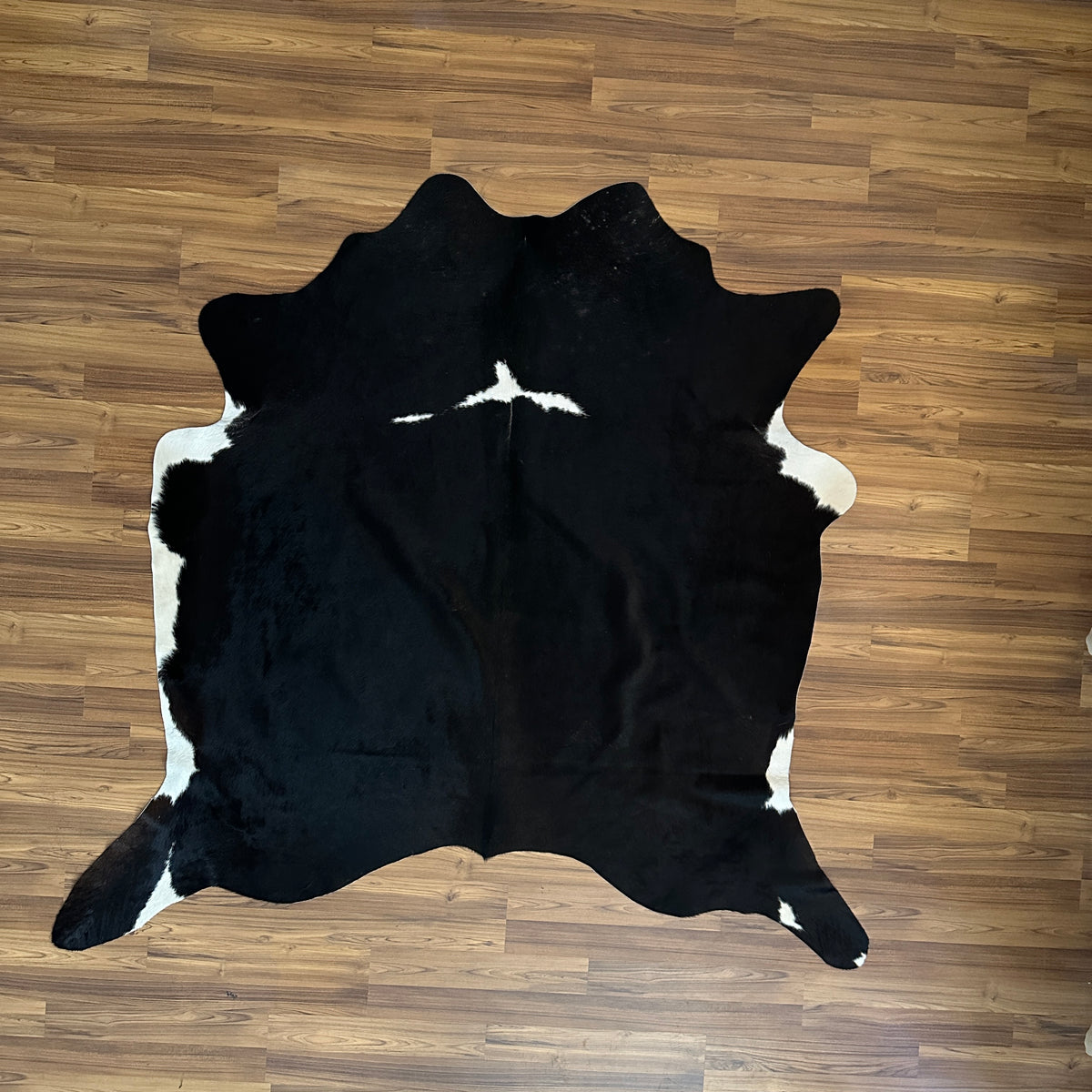 Black and White cowhide rug, full overhead view — Large irregular black patches with white markings on sides and center chest