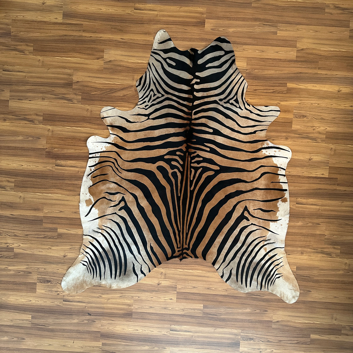 Black and White zebra print cowhide rug, full overhead view — Bold radiating zebra stripes in black and cream over natural hi