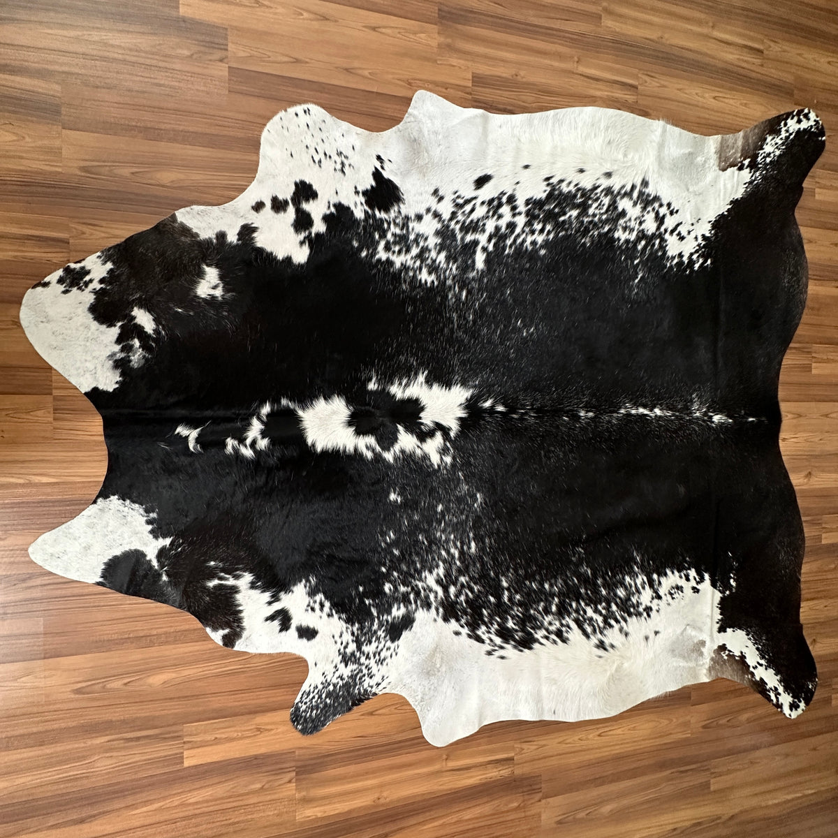 Black and White cowhide rug, full overhead view — Large irregular black patches with white speckled markings over cream base