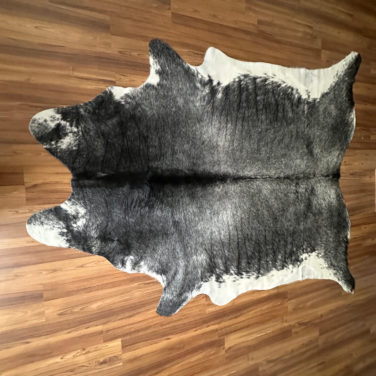 Black and White cowhide rug, full overhead view — Large irregular dark patches over cream and white base with natural hide co