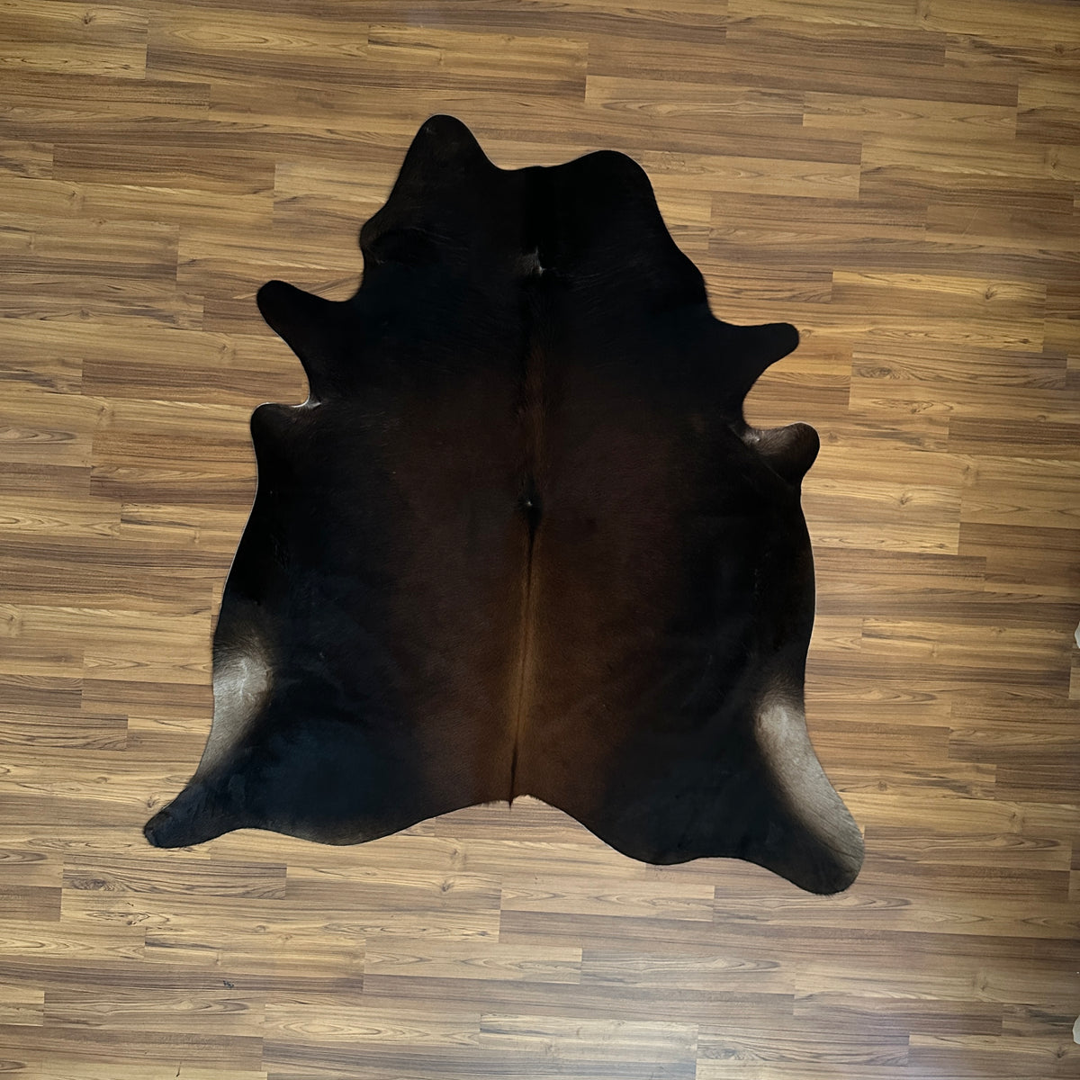 Black and White cowhide rug, full overhead view — Large irregular dark brown-black patches with cream and white undertones