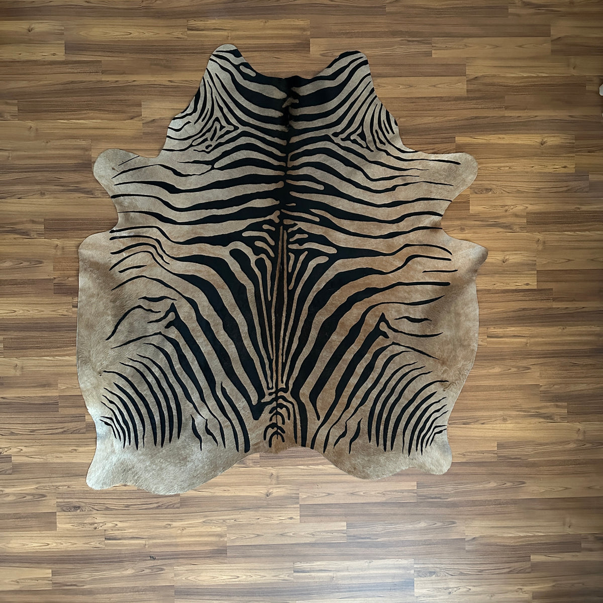 Black and White zebra print cowhide rug, full overhead view — Bold black stripes radiating from center over cream and white b