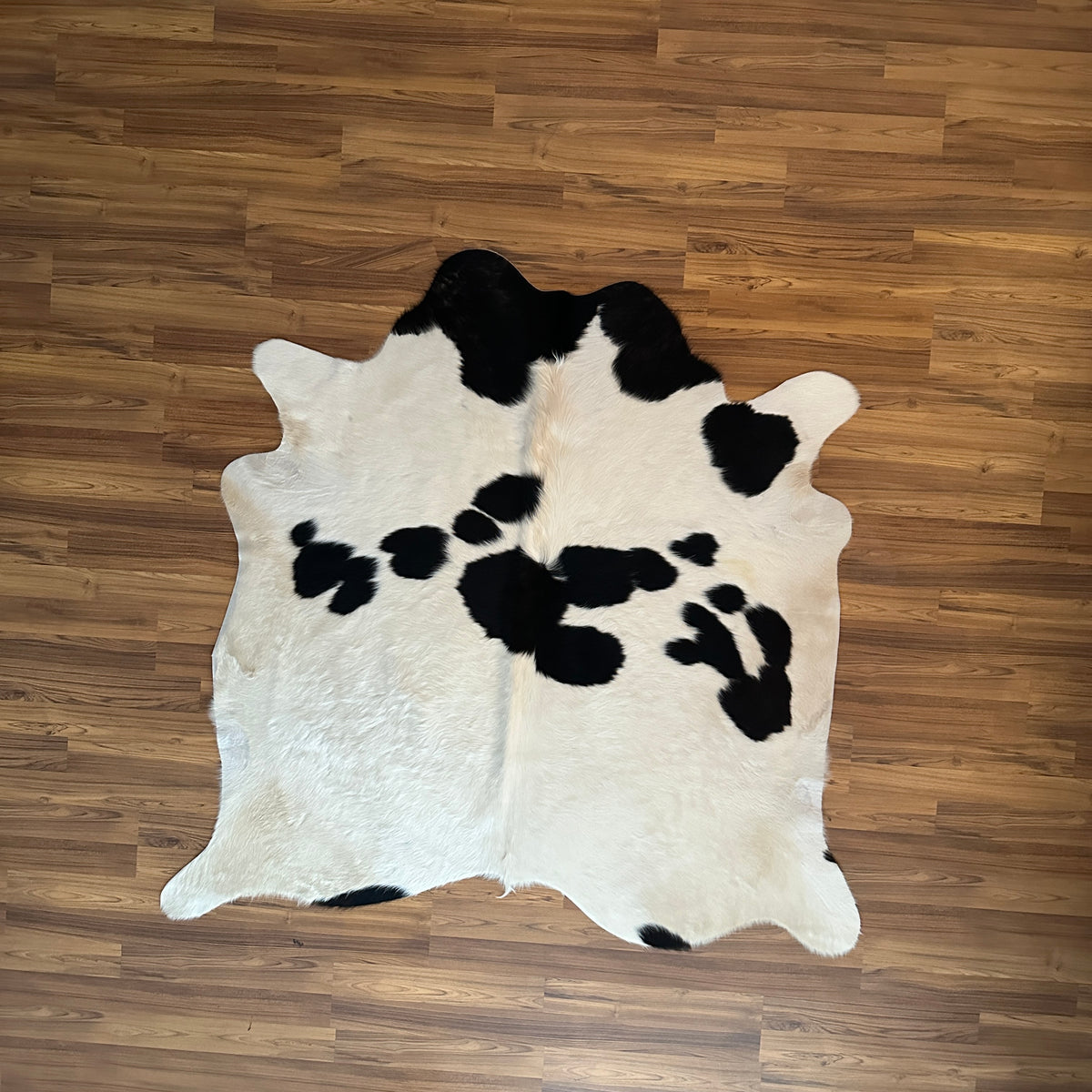 Black and White cowhide rug, full overhead view — Large irregular black patches scattered across cream-white base