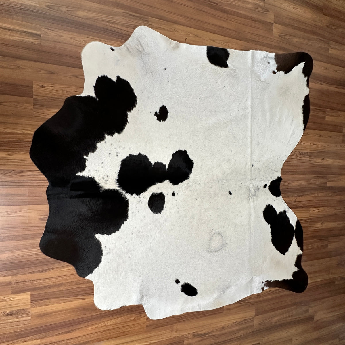 Black and White cowhide rug, full overhead view — Large irregular black patches scattered across white base with organic dist