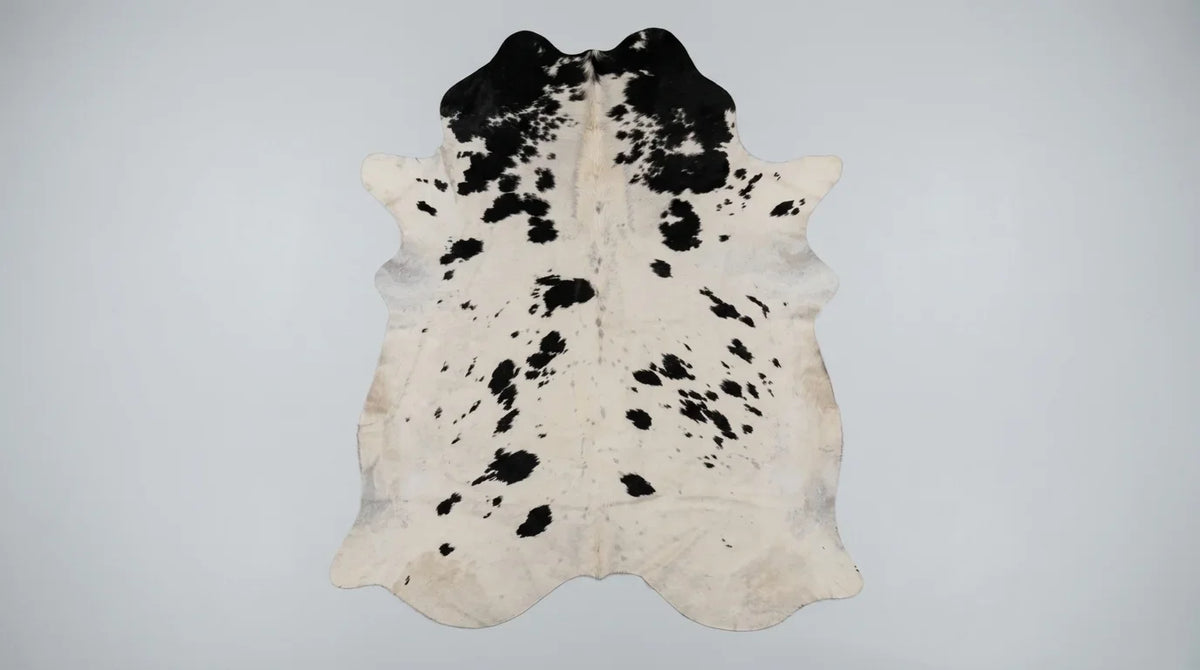 Black and White cowhide rug flat lay on white background showing full hide shape