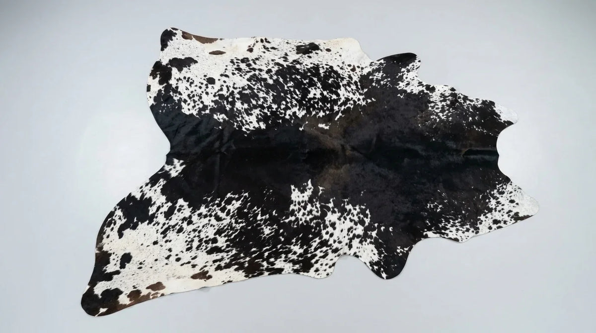 Black and White cowhide rug flat lay on white background showing full hide shape