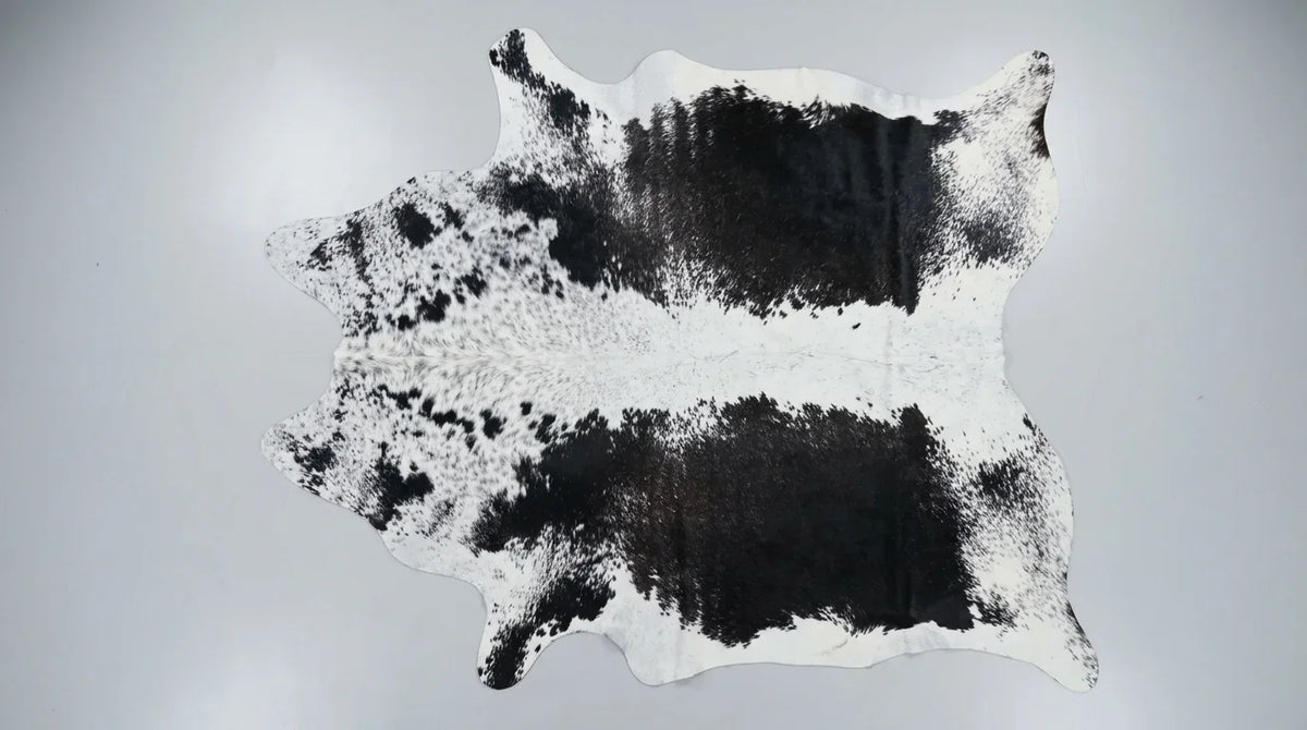 Black and White cowhide rug flat lay on white background showing full hide shape