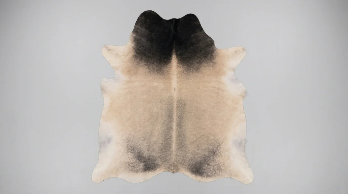 Black and White cowhide rug flat lay on white background showing full hide shape