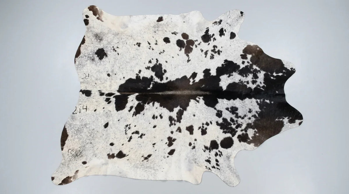 Black and White cowhide rug flat lay on white background showing full hide shape
