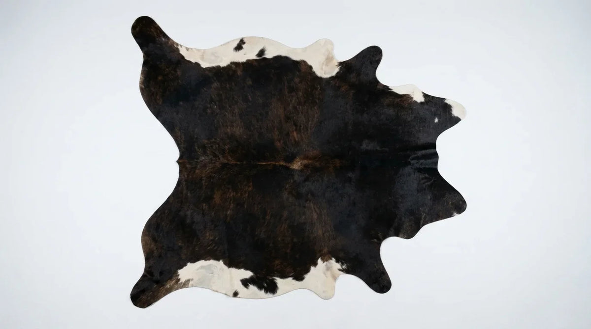 Black and White cowhide rug flat lay on white background showing full hide shape