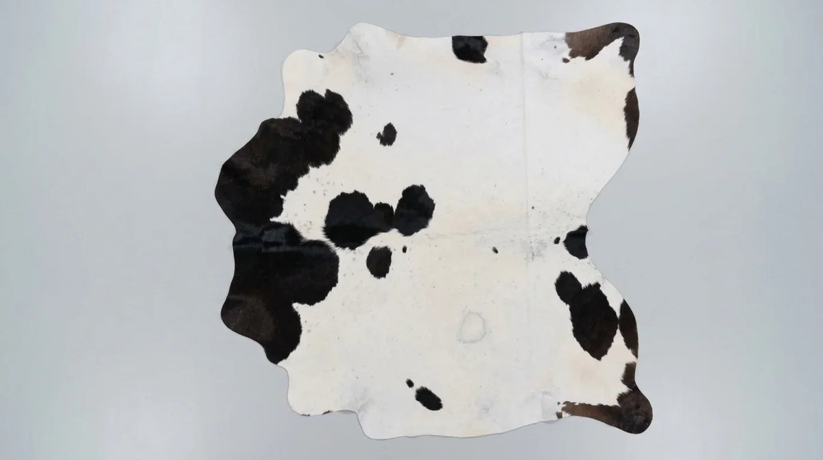 Black and White cowhide rug flat lay on white background showing full hide shape
