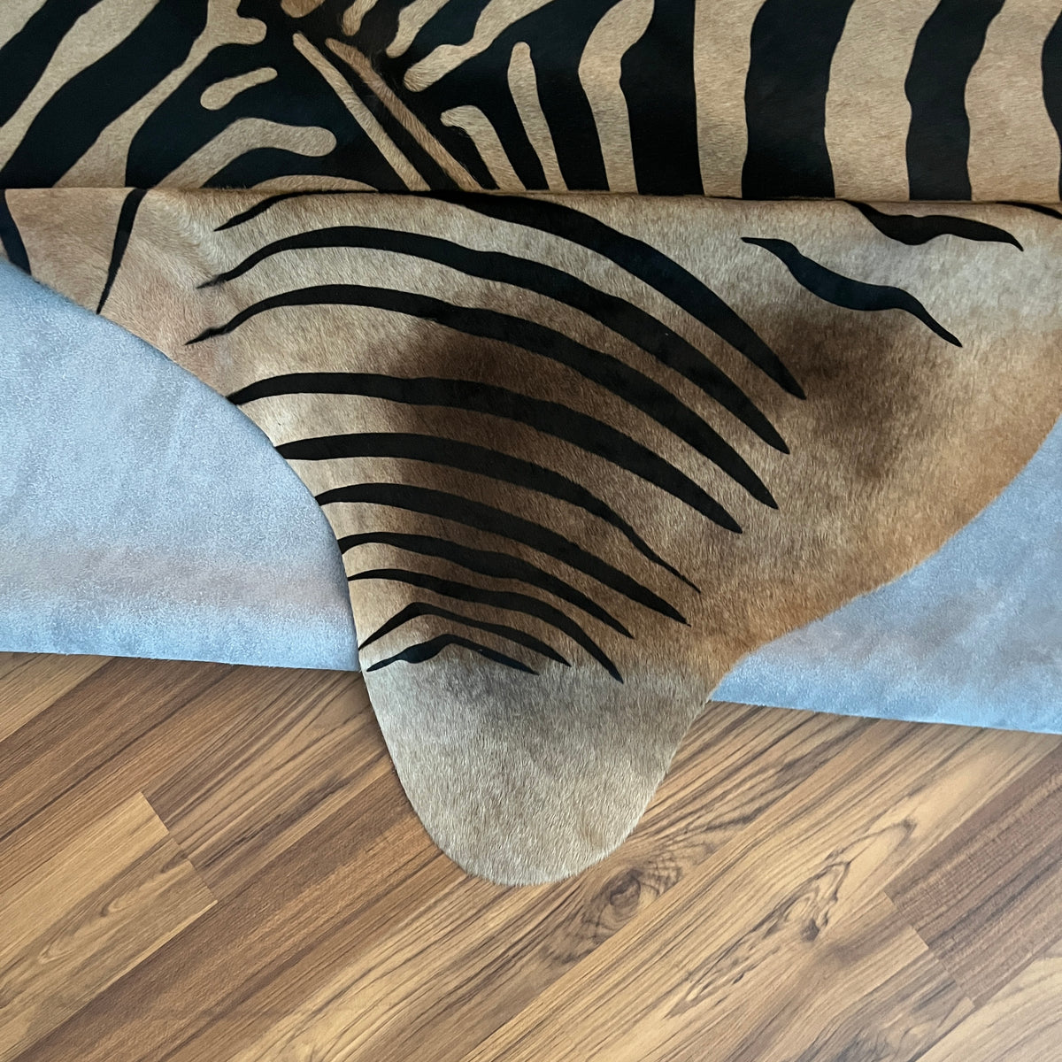 Close-up texture of Black and White zebra print cowhide rug — Bold black stripes radiating symmetrically from center over cre