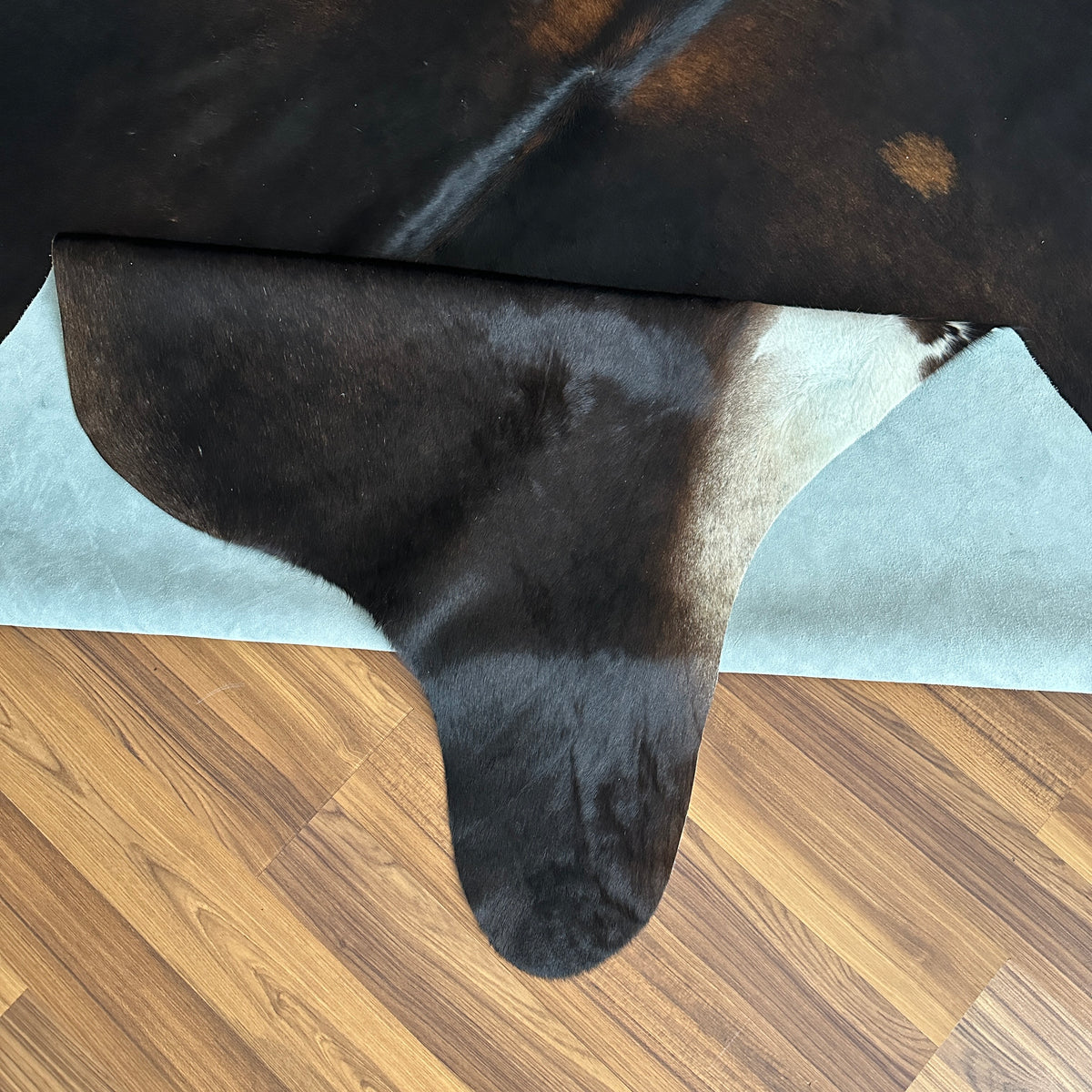 Close-up texture of Black and White cowhide rug — Large irregular black patches with white markings on hooves and lower legs