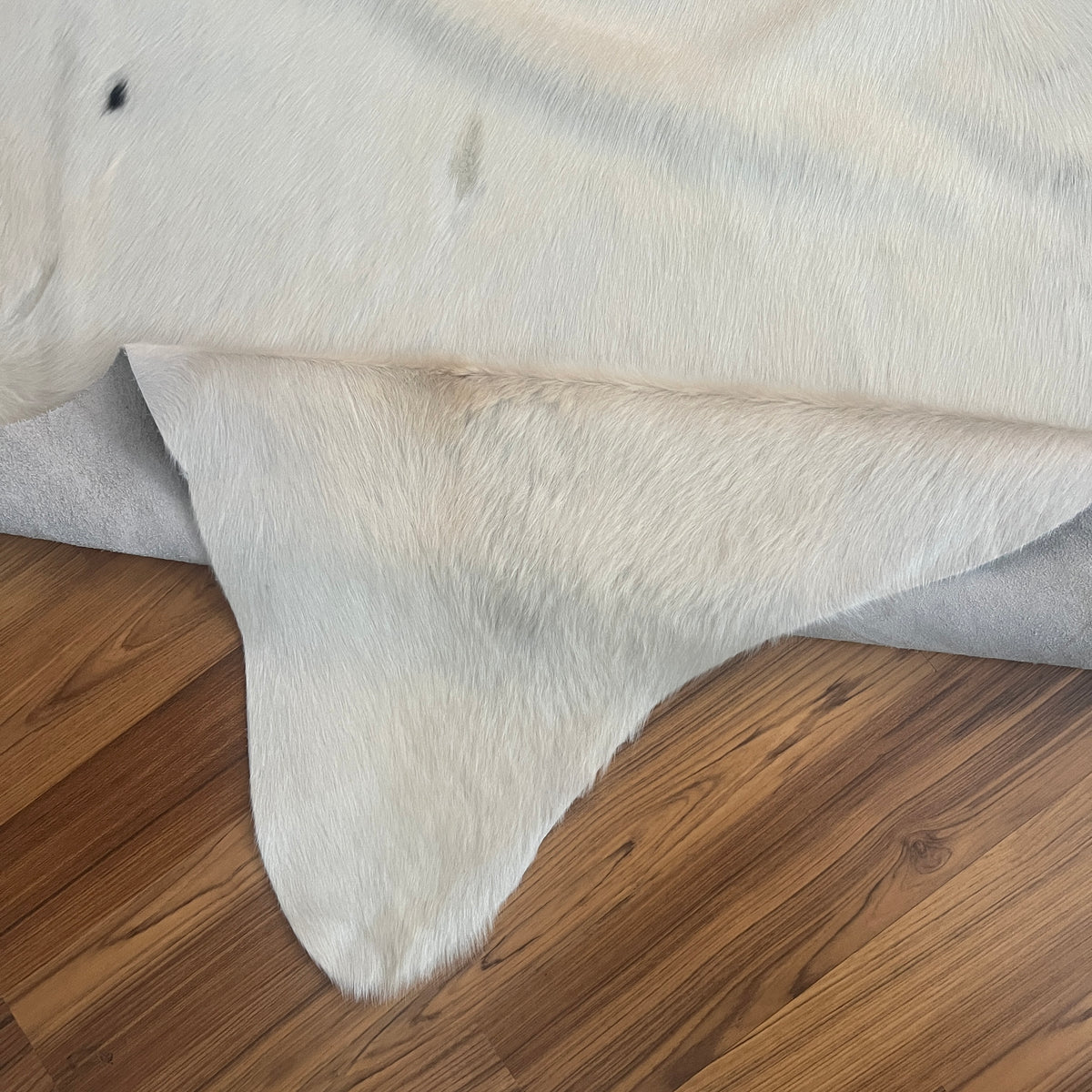 Close-up texture of Black and White cowhide rug — Large irregular black patches scattered across cream-white base