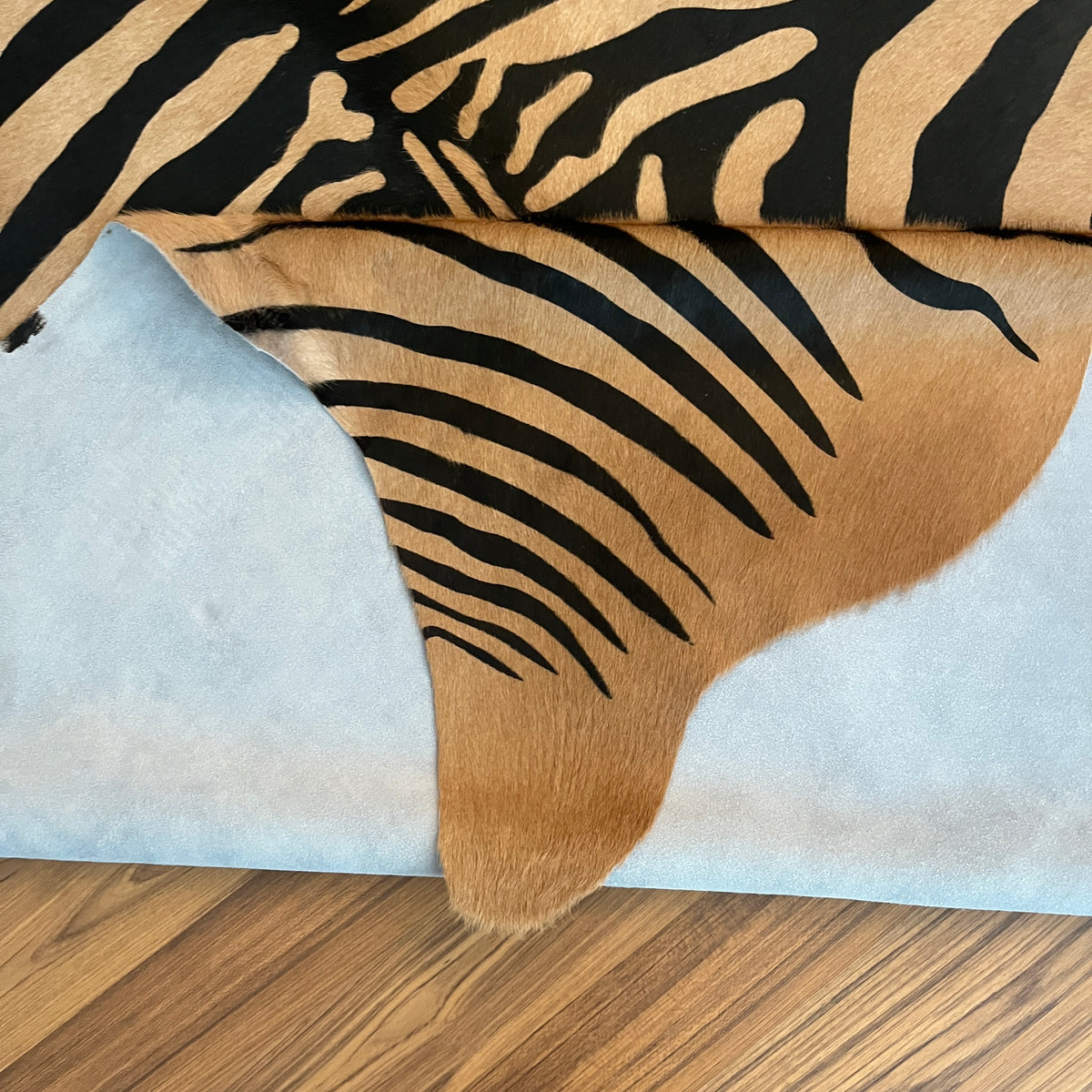 Close-up texture of Black and White zebra print cowhide rug — Bold black stripes radiating from center over cream and tan bas