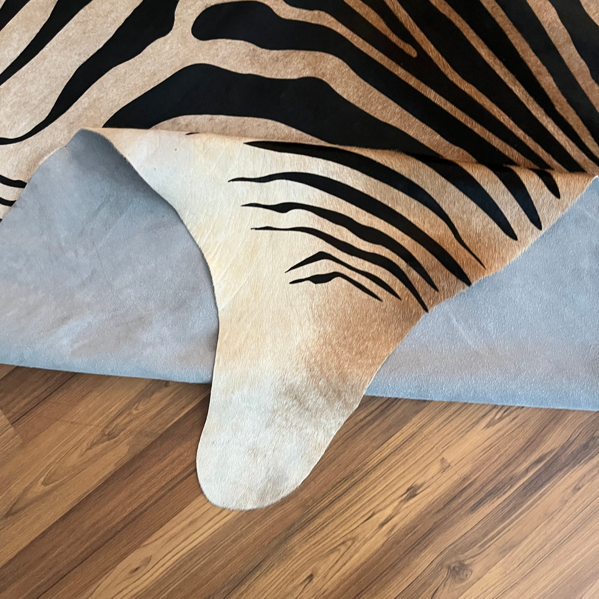 Close-up texture of Black and White zebra print cowhide rug — Bold zebra stripes radiating from center over cream and white b