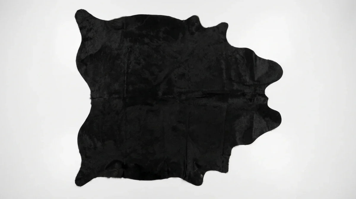 Black cowhide rug flat lay on white background showing full hide shape