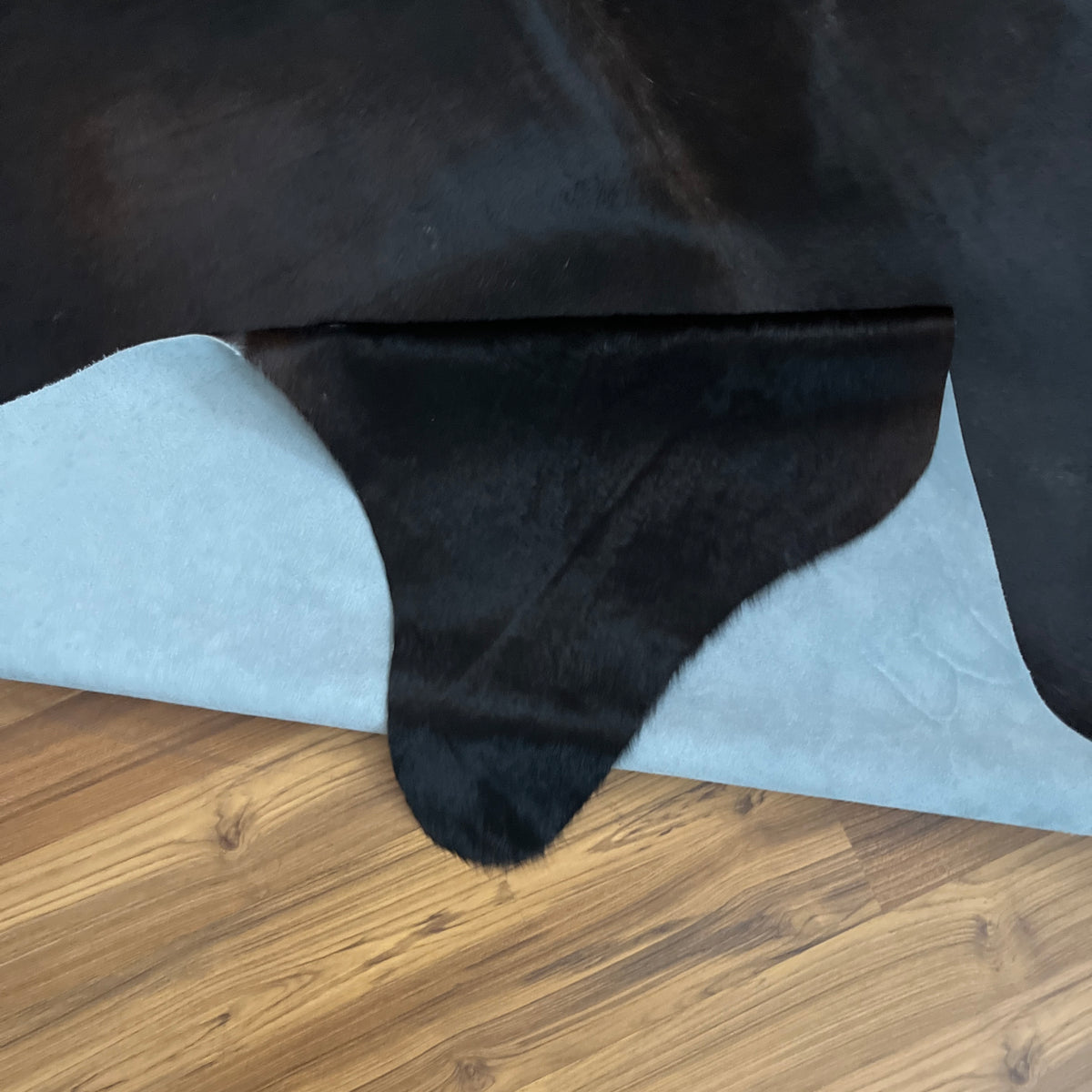 Close-up texture of Black solid black cowhide rug — Uniformly black with minimal natural variation