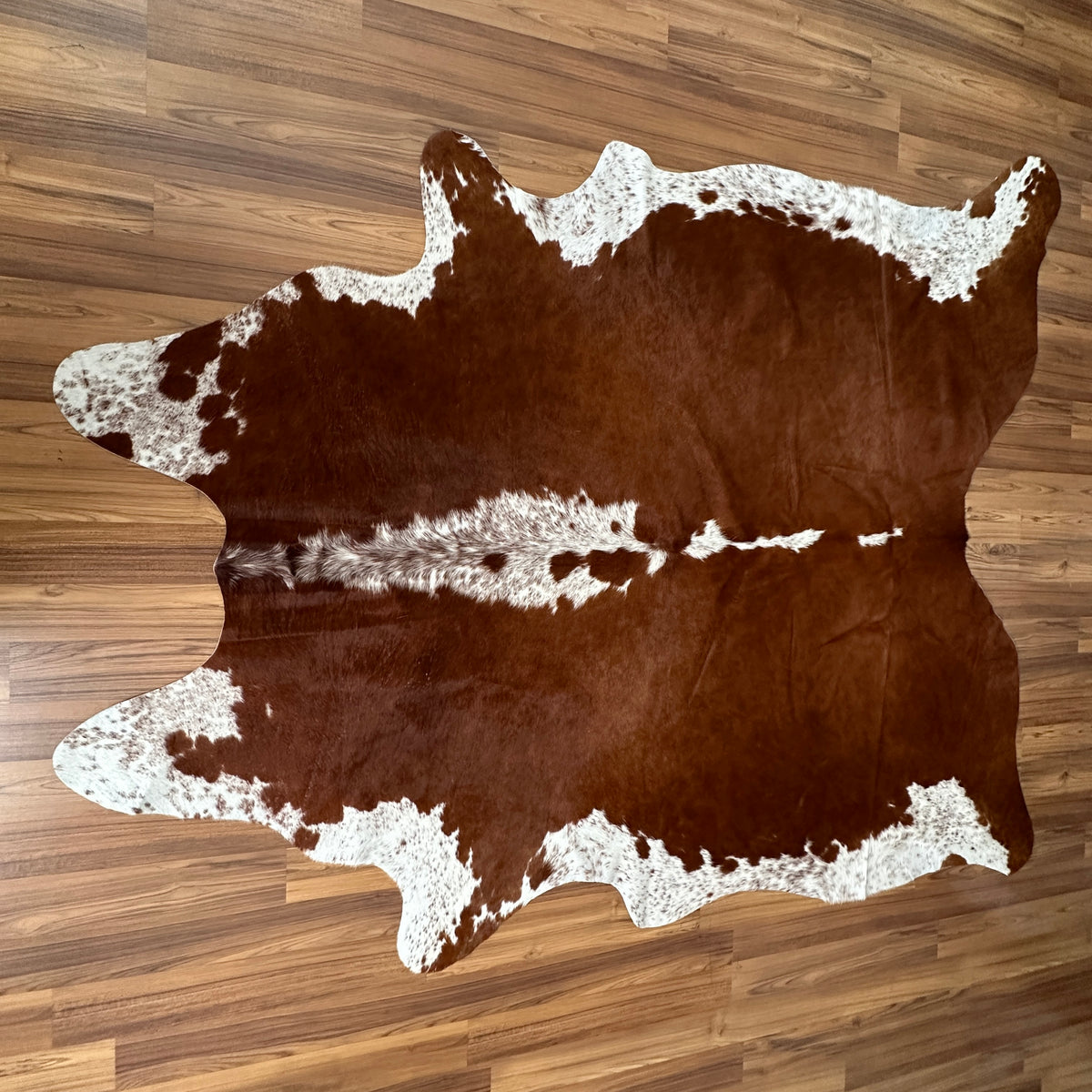 Brown and White cowhide rug, full overhead view — Large irregular chocolate brown patches with white speckled accents over a