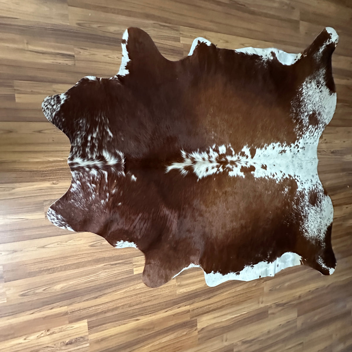 Brown and White cowhide rug, full overhead view