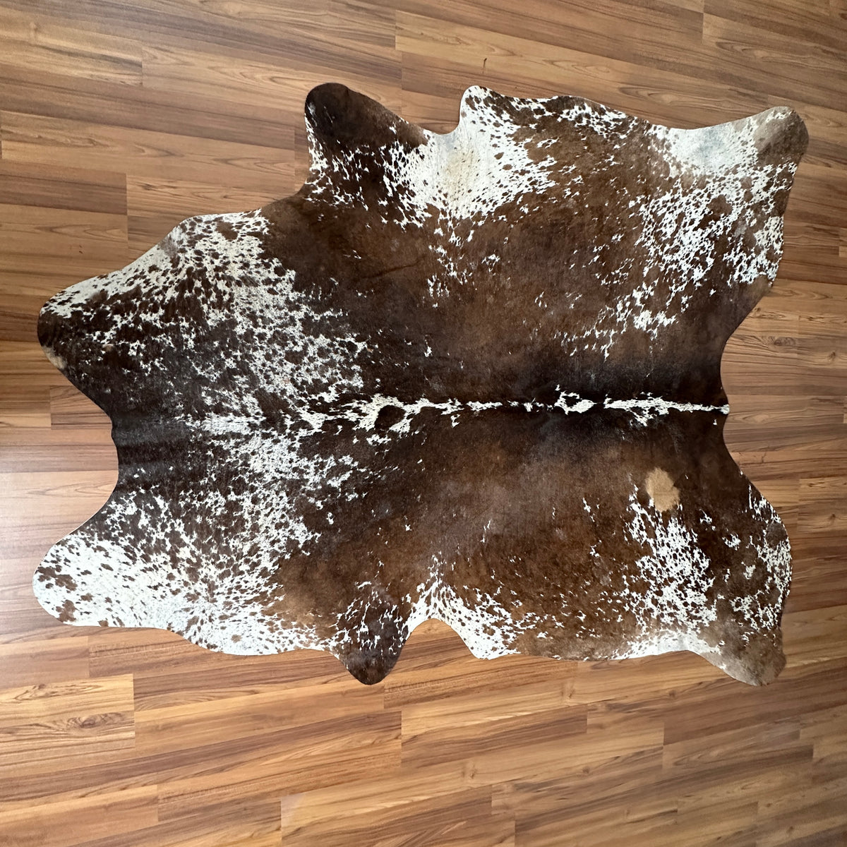 Brown and White cowhide rug, full overhead view — Large irregular dark brown patches with cream and white speckled base