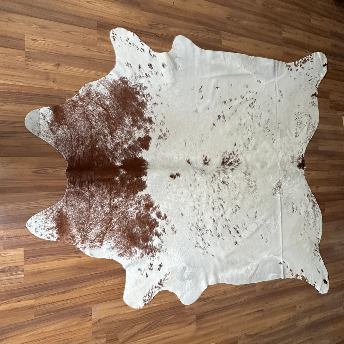 Kuhfell in Braun-Weiß, Draufsicht