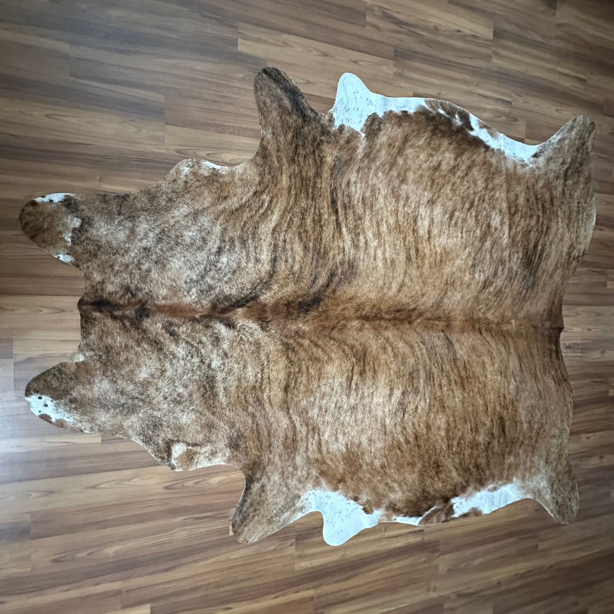 Brown and White cowhide rug, full overhead view — Large irregular chocolate-brown patches over cream and white base