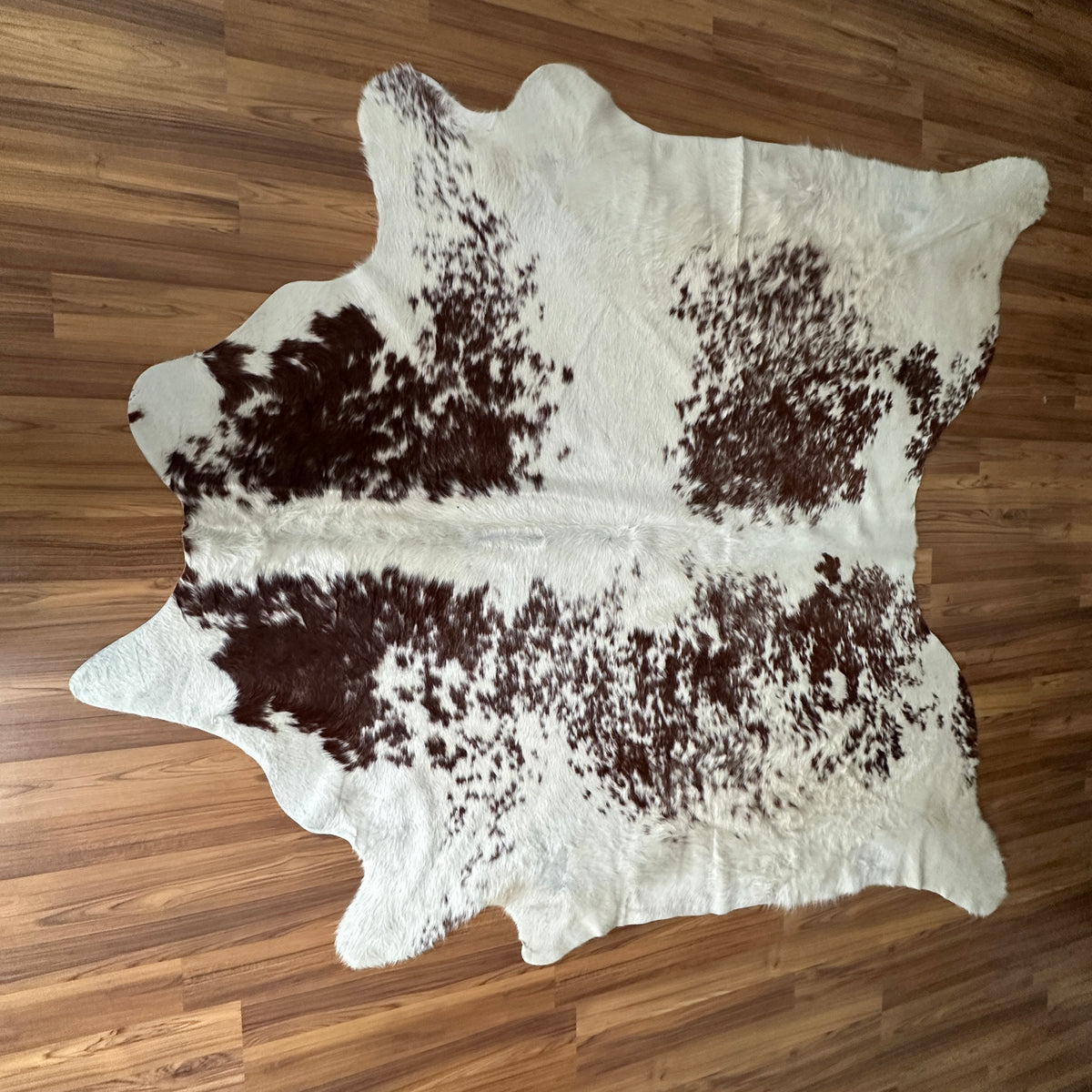 Brown and White cowhide rug, full overhead view — Large irregular dark brown patches scattered across cream base with fine sp