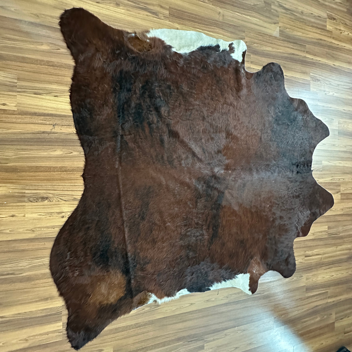 Brown and White cowhide rug, full overhead view