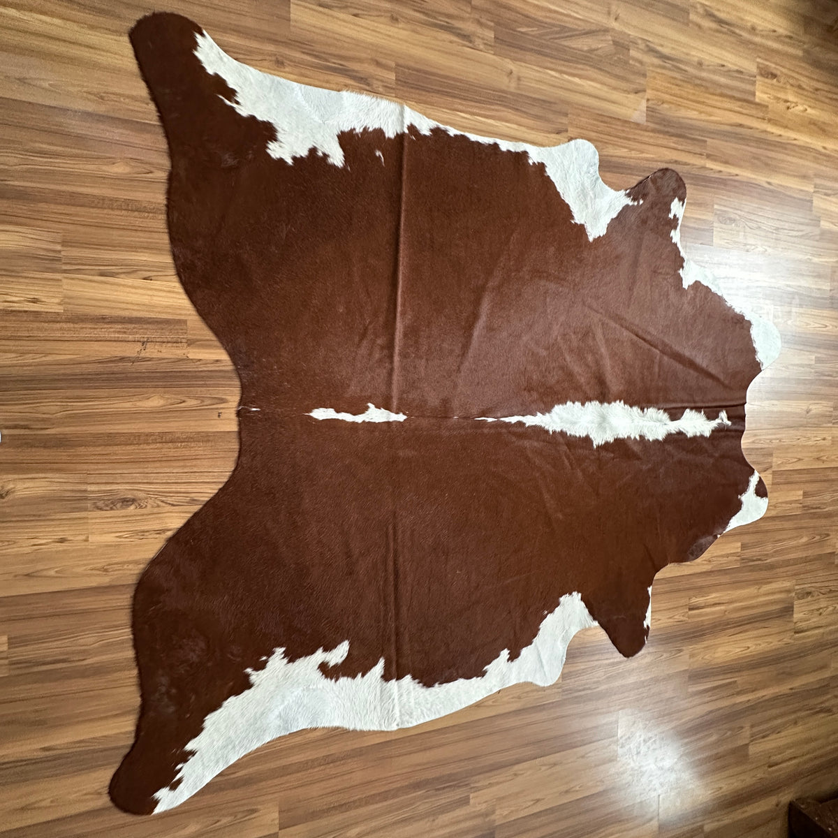 Brown and White cowhide rug, full overhead view — Large irregular dark brown patches with white markings across natural hide