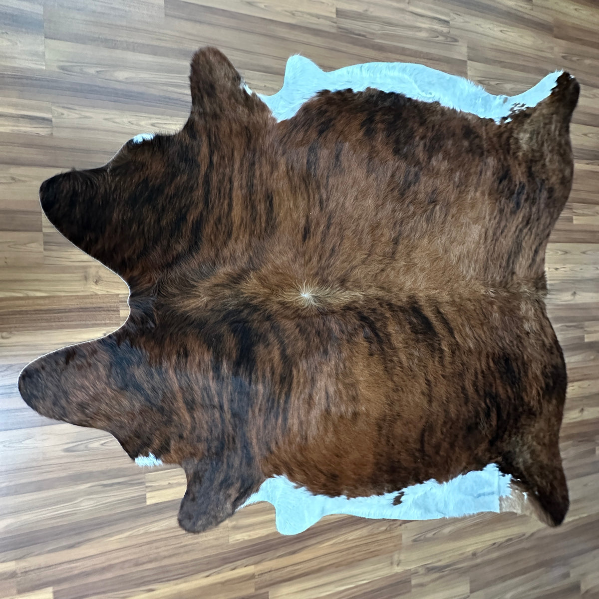 Brown and White cowhide rug, full overhead view — Large irregular dark brown patches over lighter tan and cream base with whi