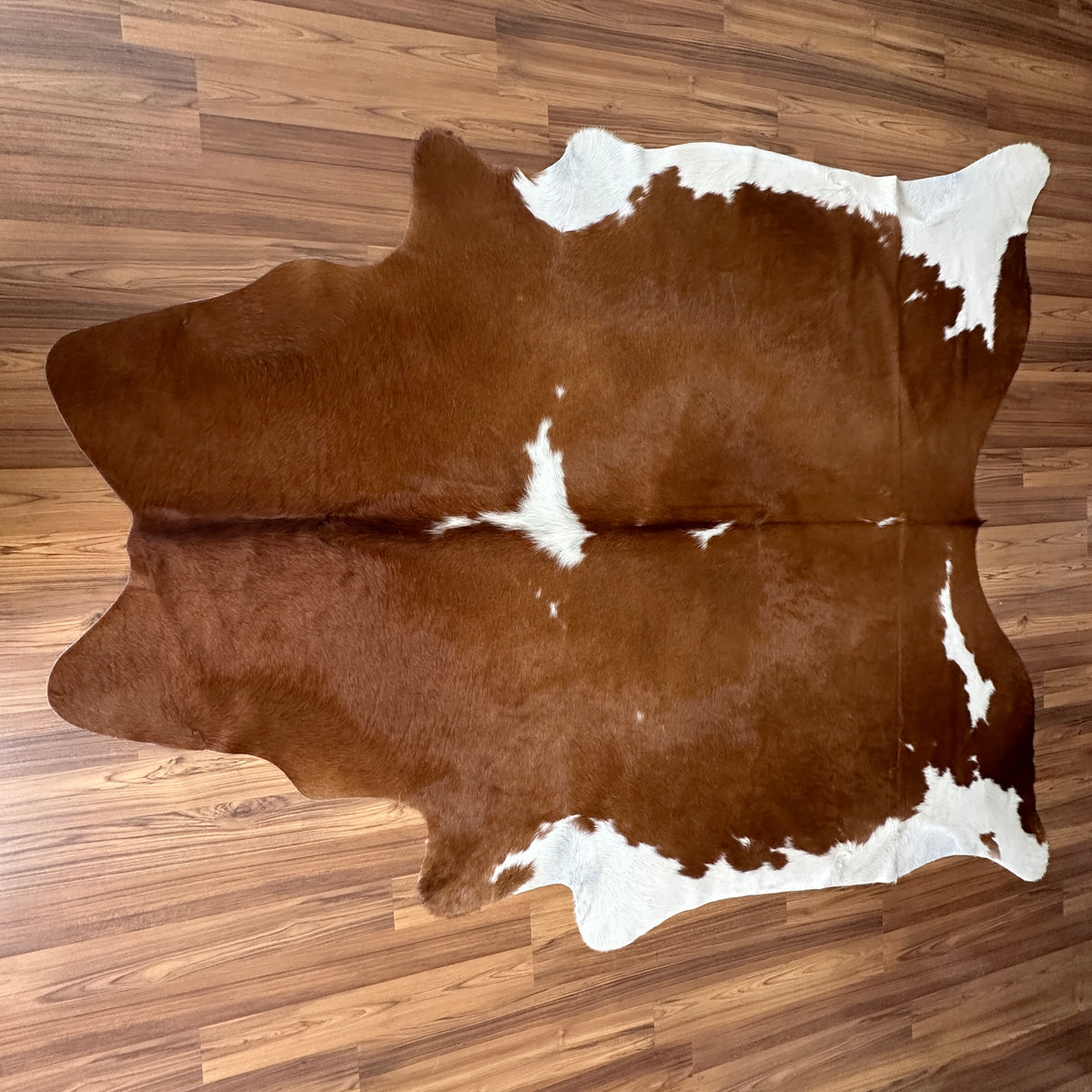 Brown and White cowhide rug, full overhead view