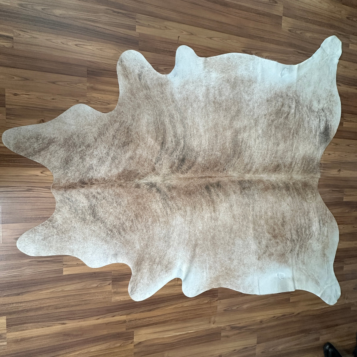 Brown and White cowhide rug, full overhead view — Large irregular brown patches over cream and white base