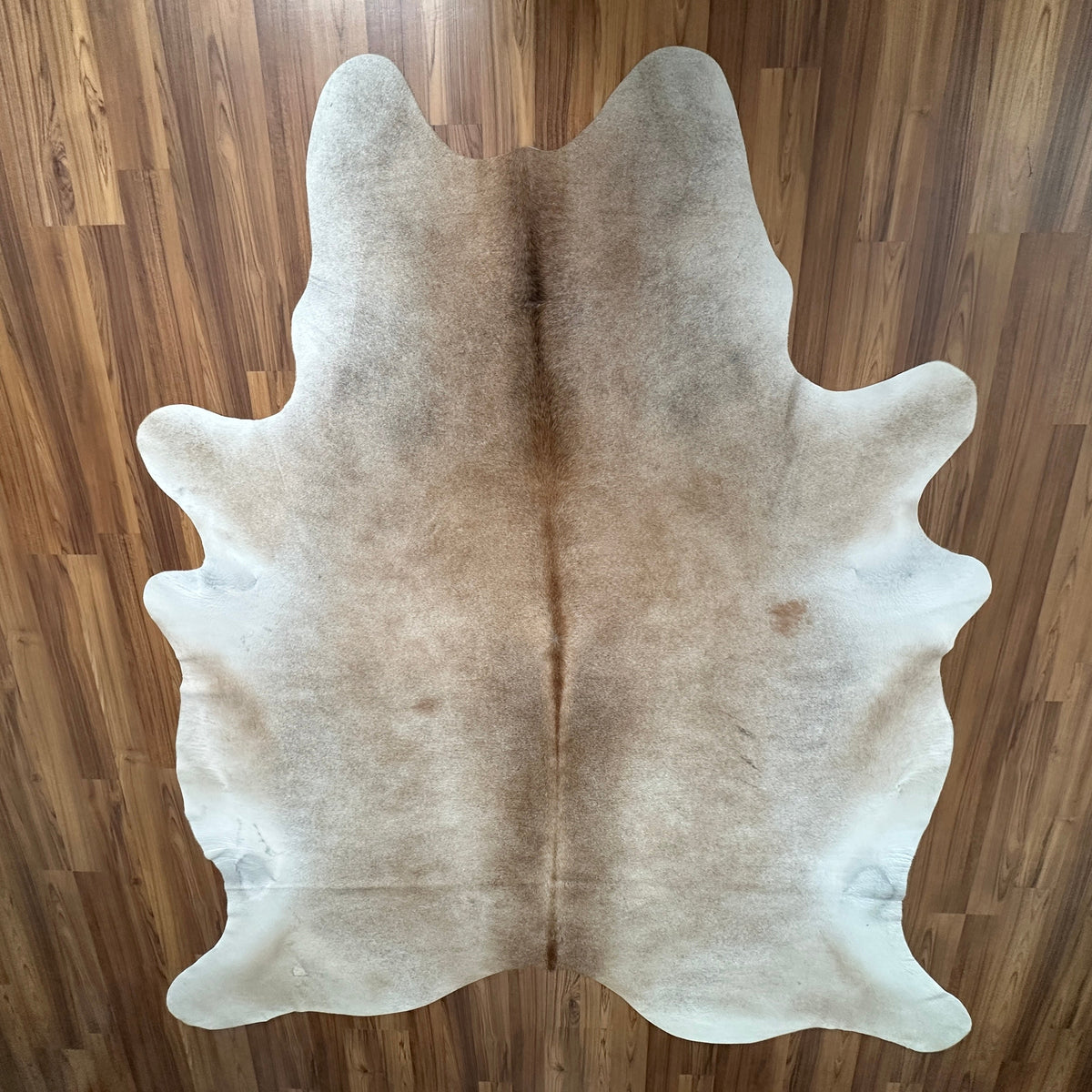 Brown and White cowhide rug, full overhead view
