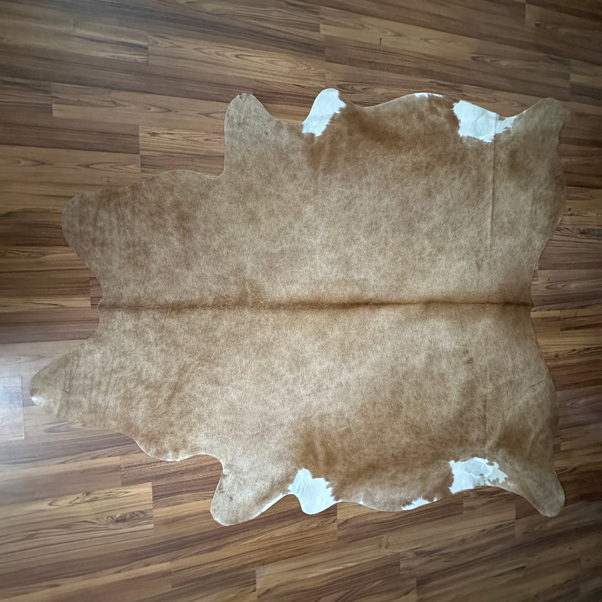 Brown and White cowhide rug, full overhead view