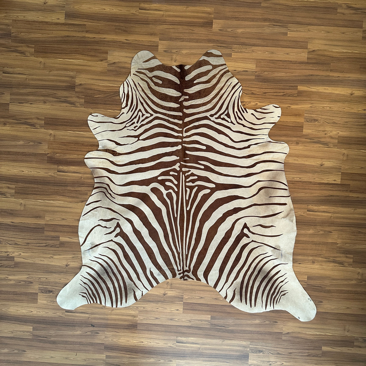 Brown and White zebra print cowhide rug, full overhead view — Bold radiating zebra stripes in dark brown over cream base