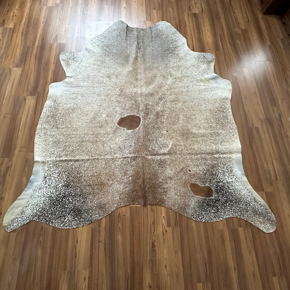 Brown and White cowhide rug, full overhead view — Large irregular dark brown patches over cream and white base